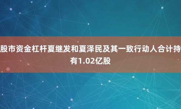 股市资金杠杆夏继发和夏泽民及其一致行动人合计持有1.02亿股